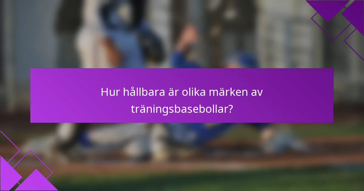 Hur hållbara är olika märken av träningsbasebollar?