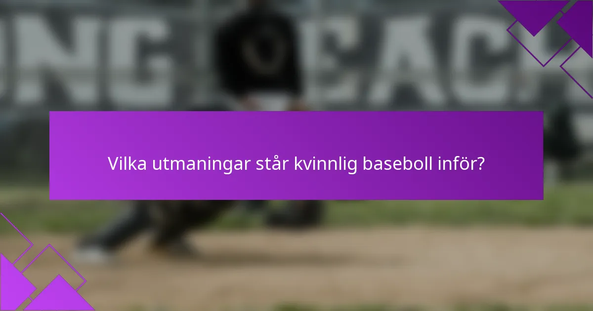 Vilka utmaningar står kvinnlig baseboll inför?
